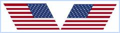 (image for) US Flag (Slanted)
